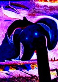 ����С˵:8403����ǰ