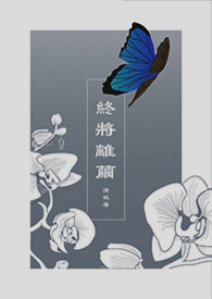 ����С˵:���ս���롷