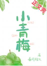 ����С˵:С��÷