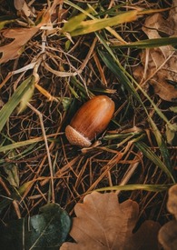 ����С˵:��ʵ