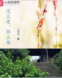 ����С˵:��ô������ô��