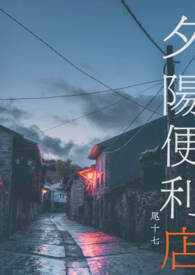 �ƻ�С˵:Ϧ��������