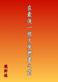 ����С˵:�����һ�����ȼ��֮ǰ