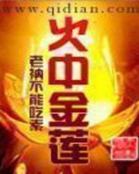 ����С˵:���н���