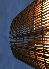 ����С˵:�������