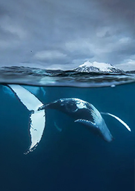 ����С˵:�� ��