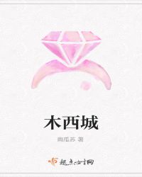 ����С˵:ľ����