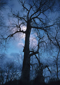 ����С˵:ֻ���㲻֪���ĺڷ���