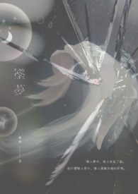 ����С˵:׹��