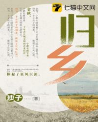 ����С˵:����