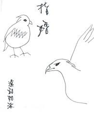 ����С˵:ָ��