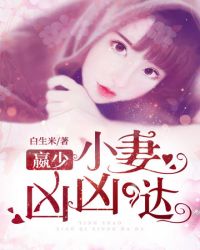 ����С˵:Ӯ��С��������