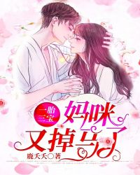 ����С˵:һ̥�����������ֵ�����