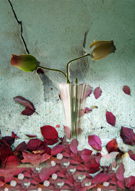 ����С˵:�����������̵����⣬ֻΪ��