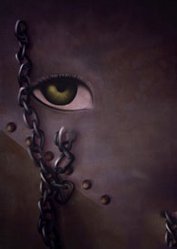 ����С˵:��