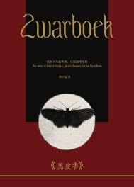 ����С˵:��Ƥ��������