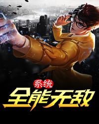 ����С˵:ȫ���޵�ϵͳ