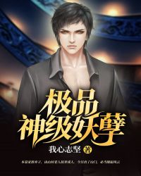 ����С˵:��Ʒ������