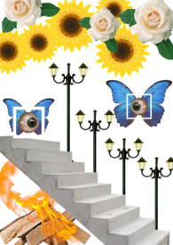 ����С˵:��������