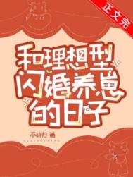 ����С˵:���������������̵�����