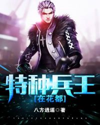 ����С˵:���ֱ����ڻ���