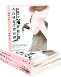 ����С˵:���Ž���֮Ȩɫ����