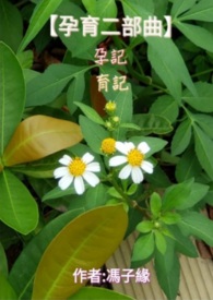 ����С˵:��������������֮���мǡ��롶���ǡ�