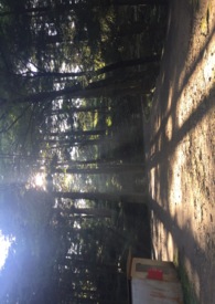 ����С˵:��������