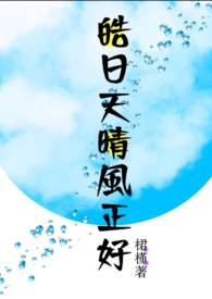 ����С˵:������������