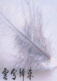 ����С˵:�������