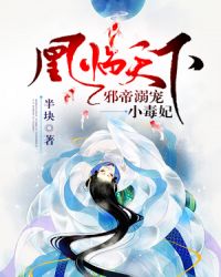 ����С˵:��������