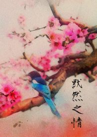 �ٺ�С˵:ĬȻ֮��