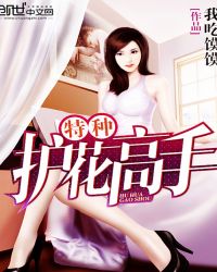 ����С˵:���ֻ�������