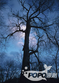 ����С˵:FantasyLand