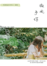 ����С˵:΢������