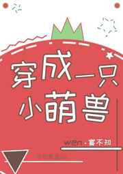 ����С˵:����һֻС���� ���+����