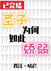 ����С˵:ʥ��Ϊ����˽���