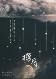 ����С˵:����