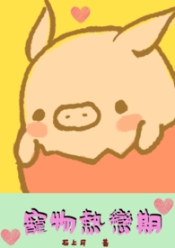 ����С˵:����������