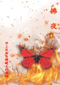 ����С˵:��ҹ