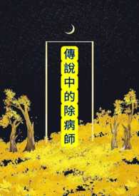 ����С˵:��˵�еĳ���ʦ