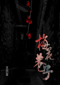 ����С˵:÷������