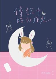 ����С˵:�����Ρ���˵�еİ��¹�