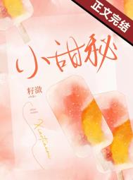 ����С˵:С����