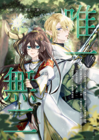 ����С˵:�����Ρ���Ψһ�޶���