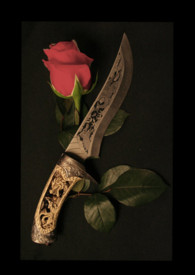 ����С˵:������