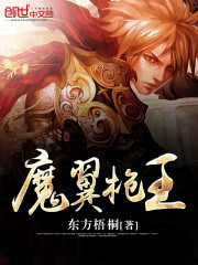 ����С˵:ħ��ǹ��