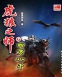 ����С˵:����֮ʦ