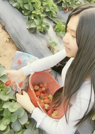 ����С˵:���в����