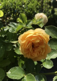 ����С˵:���ɾ��롡�һ�ǵ���